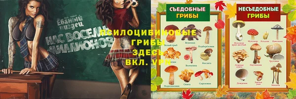бошки Алексеевка