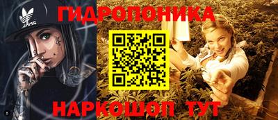 гидропоника Гусиноозёрск