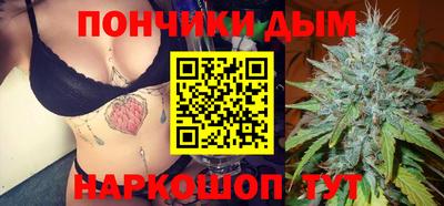 гидропоника Гусиноозёрск