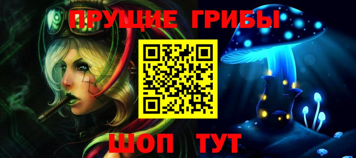 Карачаевск  Псилоцибиновые грибы мухоморы  Вход с VPN 