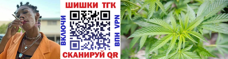 ссылка на мегу сайт Карачаевск Марихуана семена
